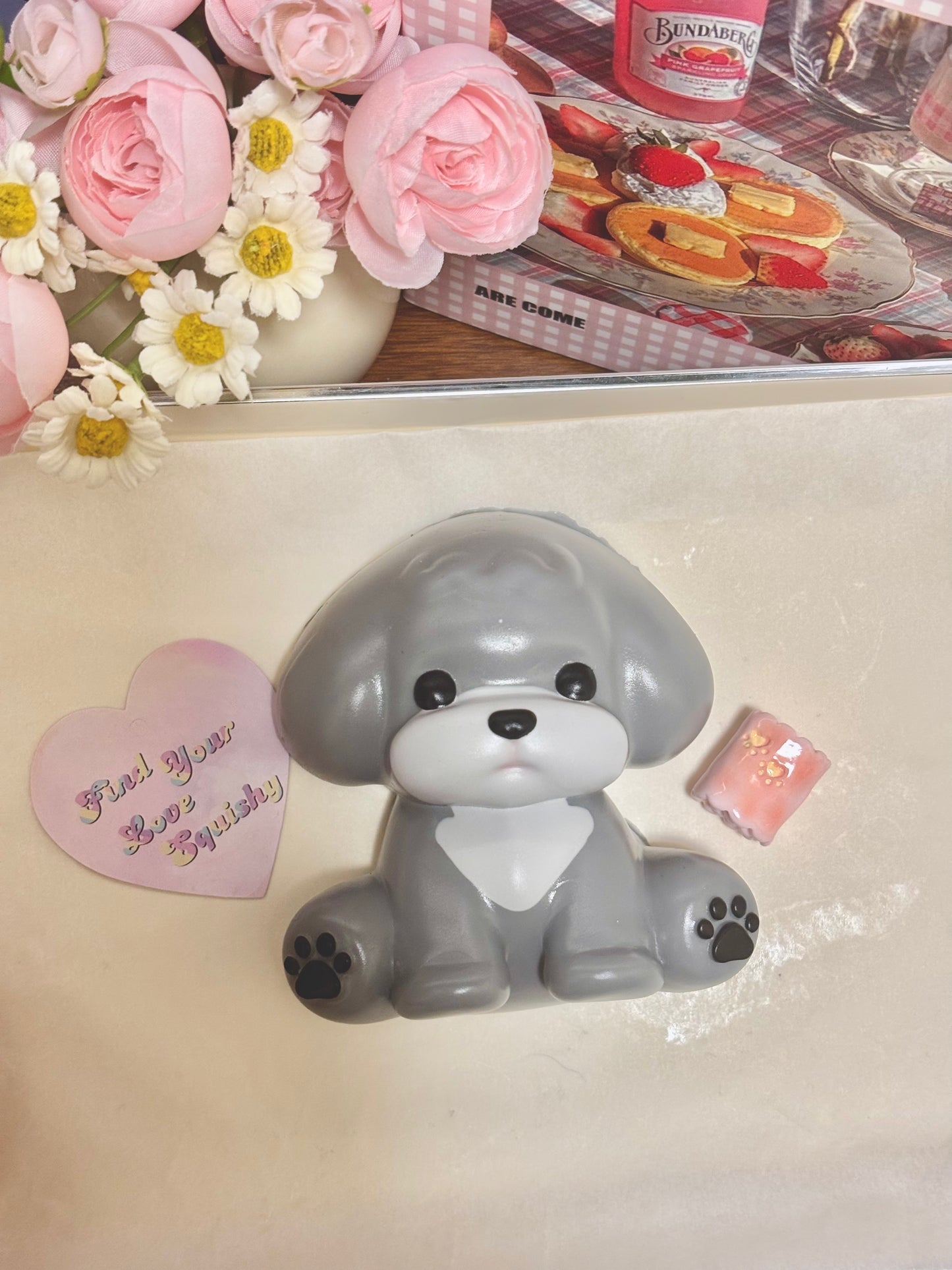Doggie Taba Squishy Toy