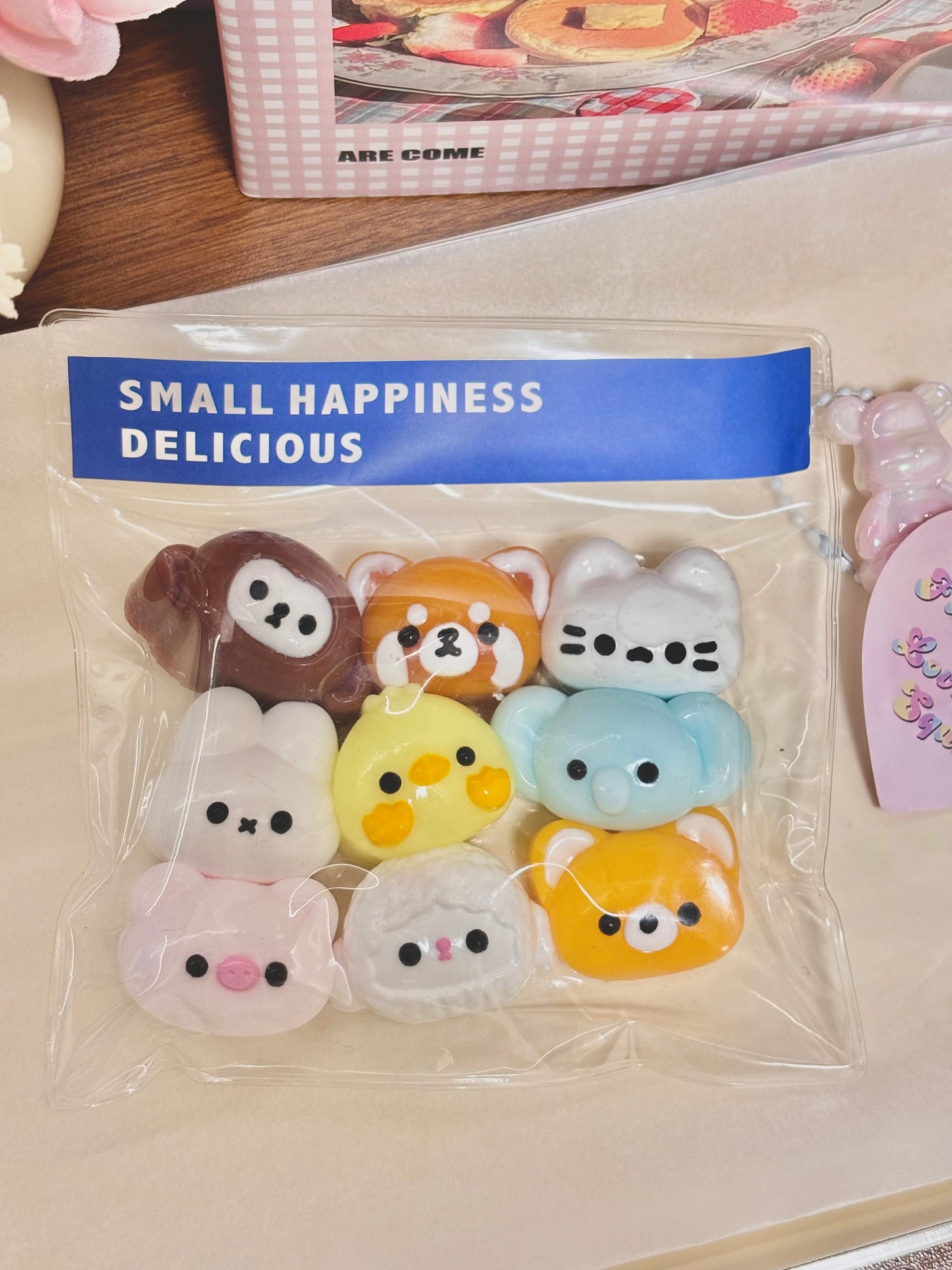 Mini Cute Animal Head Taba Squishy Toy