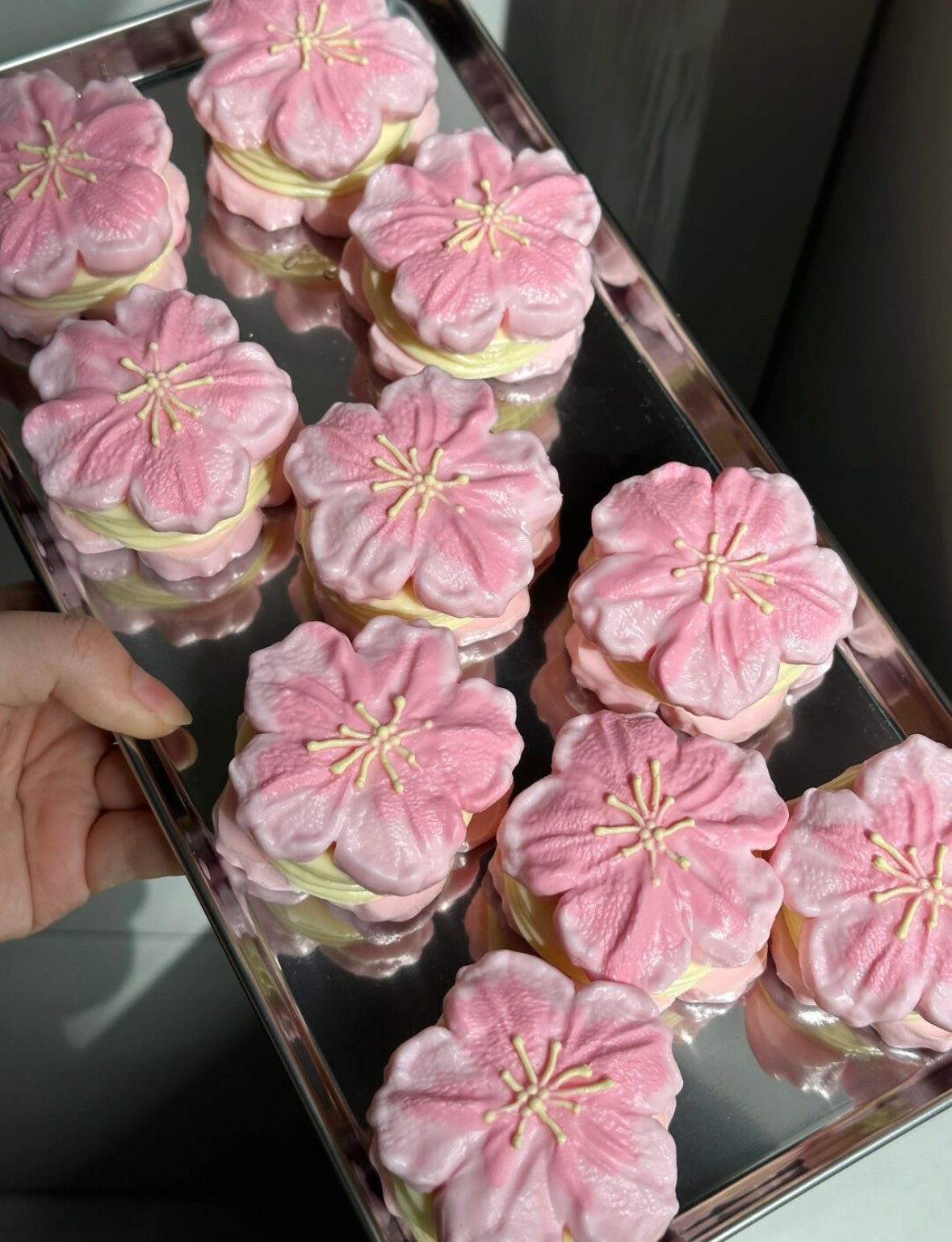 Sakura Cake Taba Squishy Toy - Find Your Love Squishy