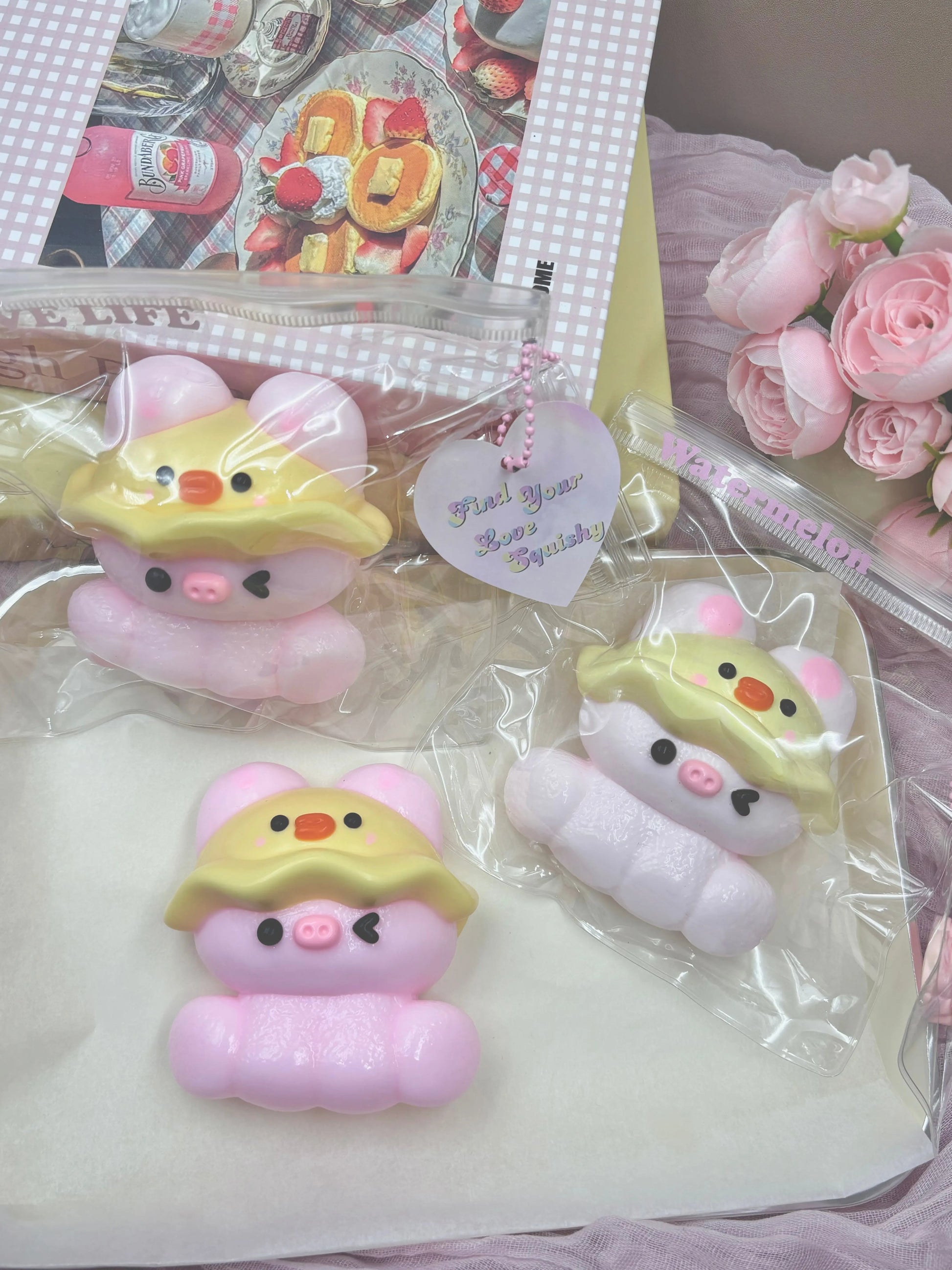 Cute Pig with Hat Taba Squishy Toy - Find Your Love